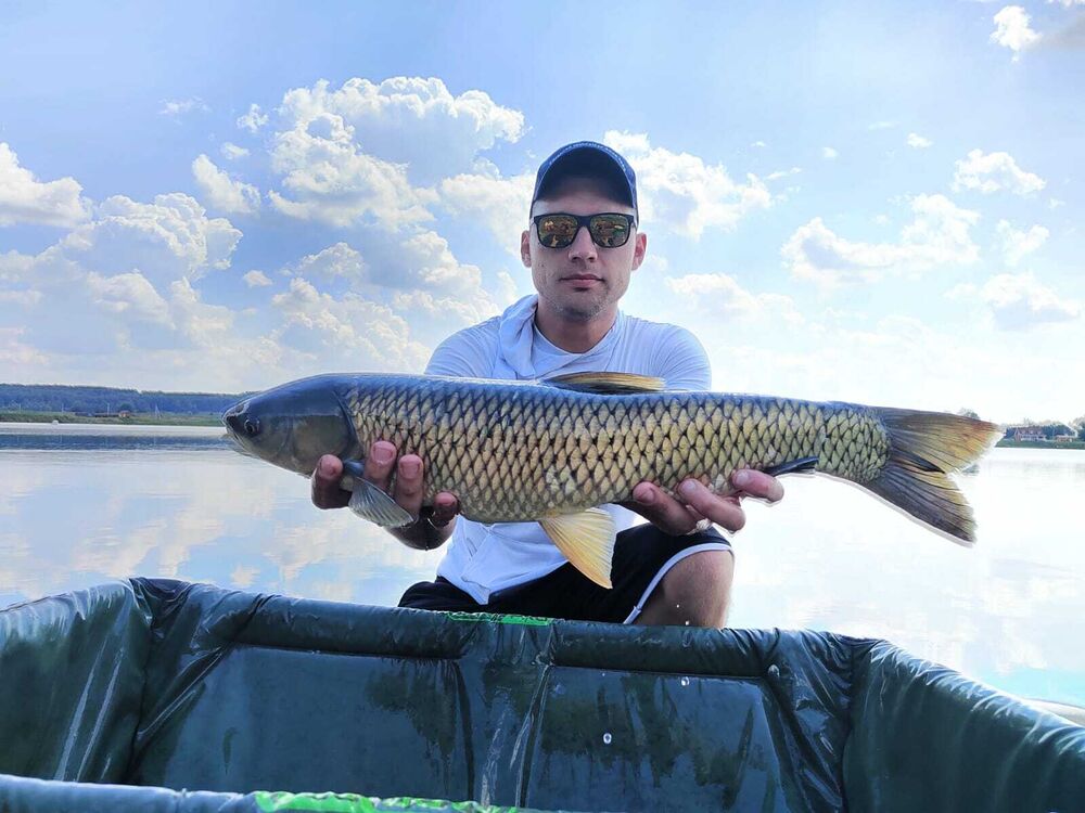 ���������� ������ ��������, ���� ������� ����, 33 ����, ������������ ��� ������, ����� � ���������, c�������� ���������, ���������