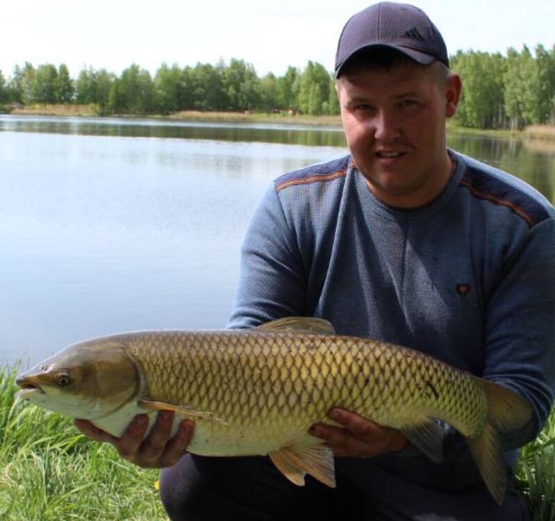 ���� 20214748 ������� ������, 37 ���, ���� ���������� � �����������