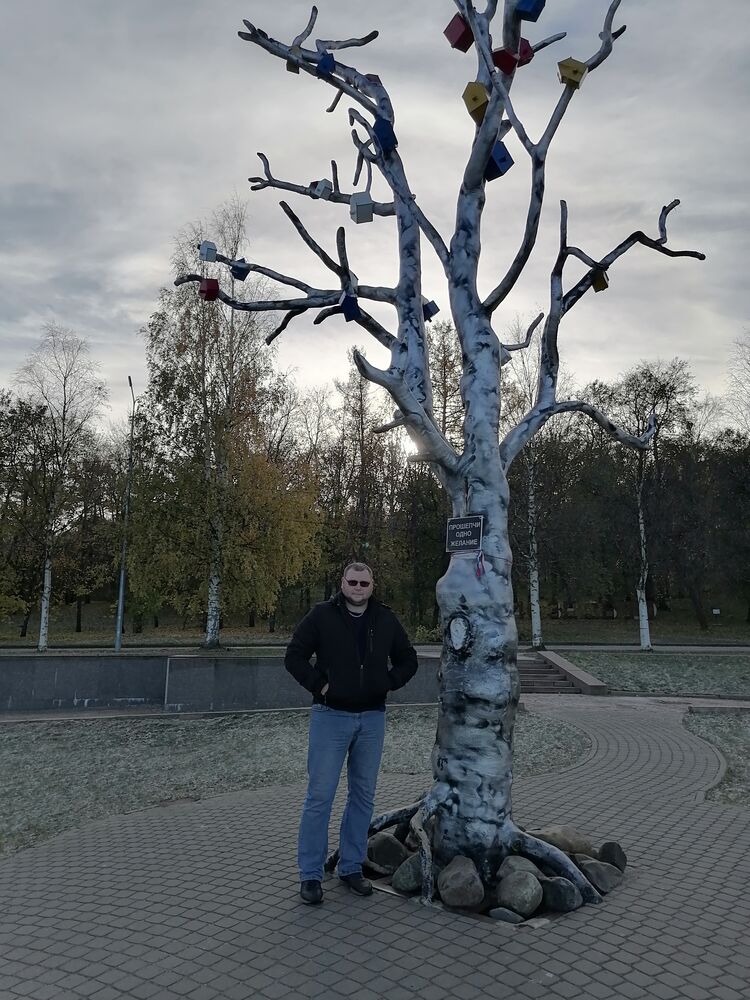  41426708  , 32 ,    -