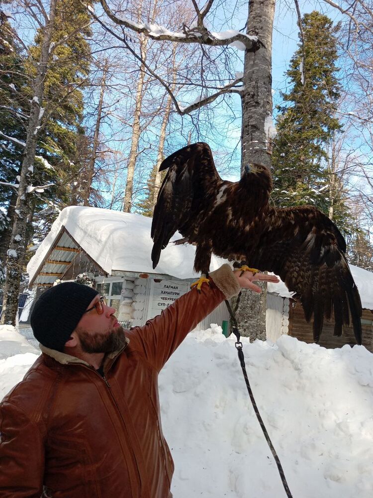 ���������� ���������, ���� ������� �������, 42 ����, ������������ ��� c�������� ���������, ���������