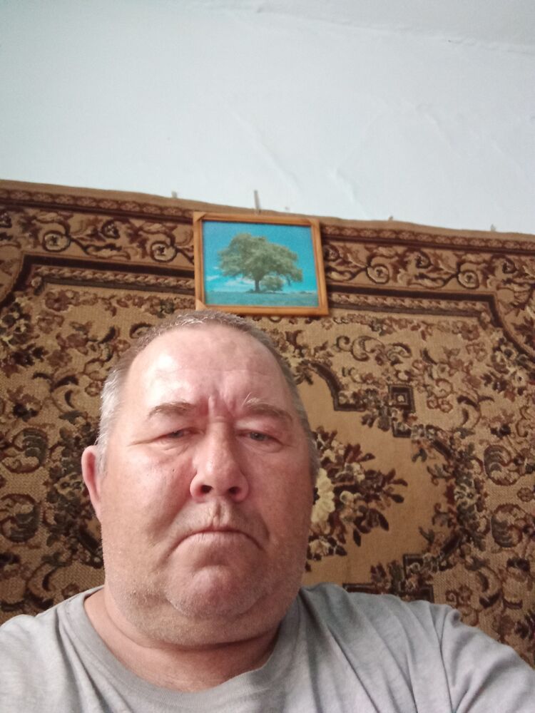 ���� 33786368 ������� �������, 43 ����, ���� ���������� � ������