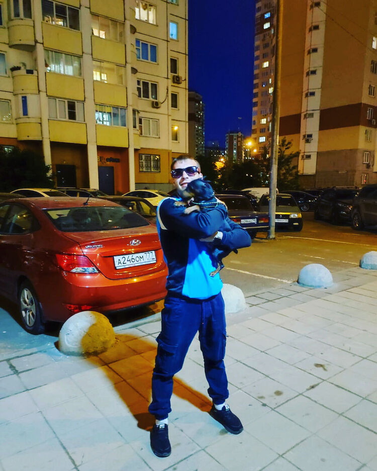  28392868  , 28 ,    
