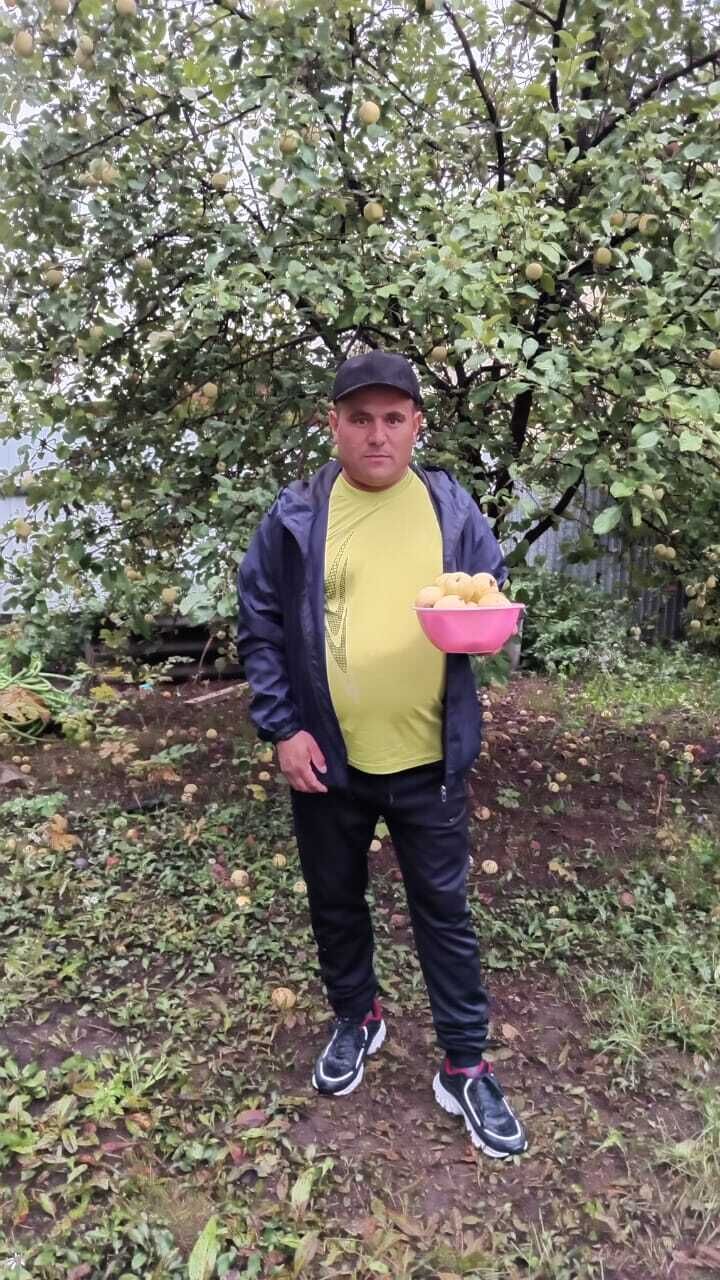  38056448  Guwanc, 44 ,     