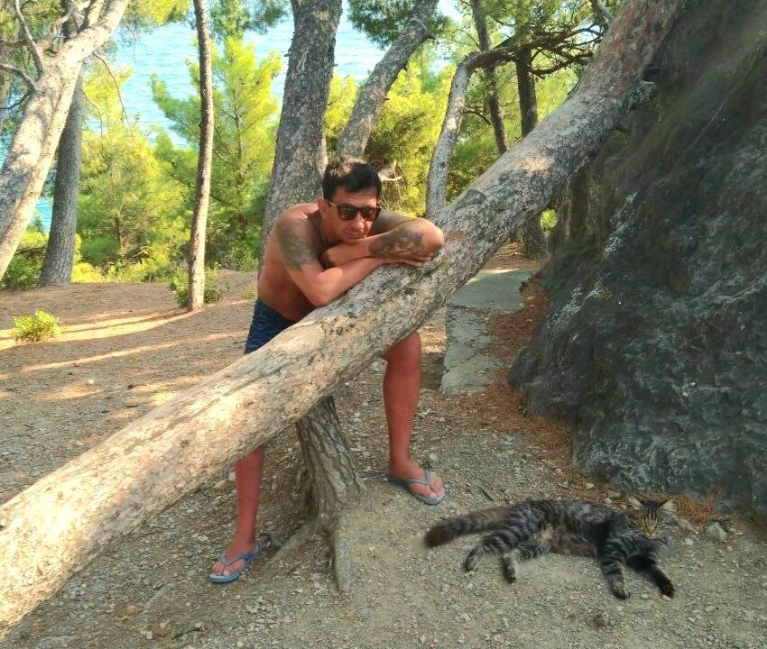 ���������� ����������, ���� ������� ��������, 40 ���, ������������ ��� ������, ����� � ���������, c�������� ���������