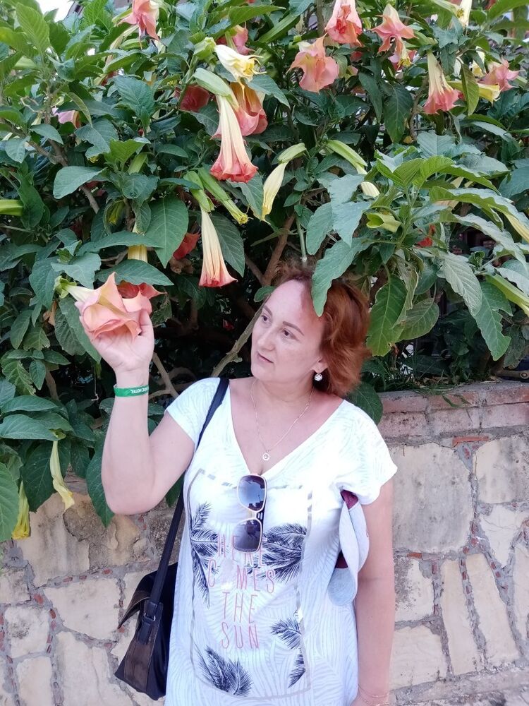  ,   , 49 ,     , c 