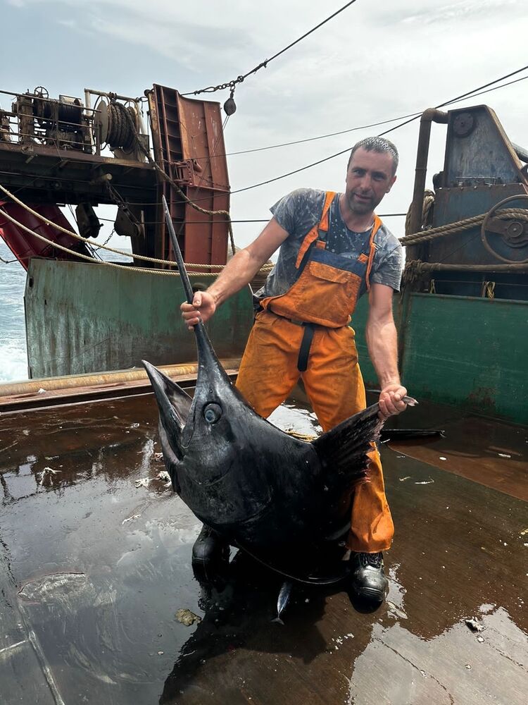 ���������� ����, ���� ������� ����, 47 ���, ������������ ��� ������, ����� � ���������