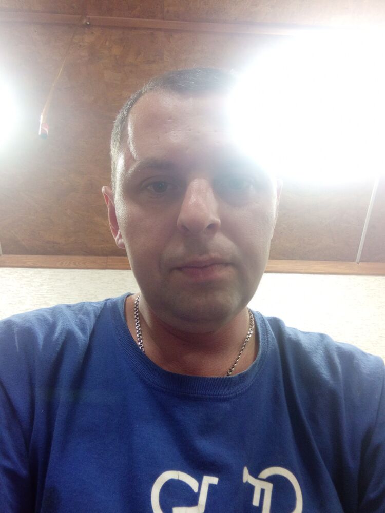  43564138  , 31 ,    