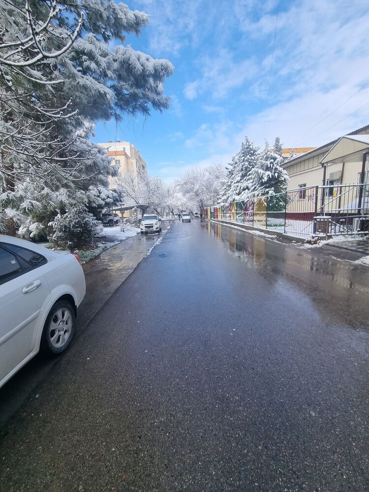 ���� 42585898 ������� �����, 40 ���, ���� ���������� � ��������