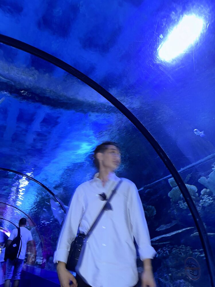 ���� 55407918 ������� Ramazon, 26 ���, ���� ���������� � ��������