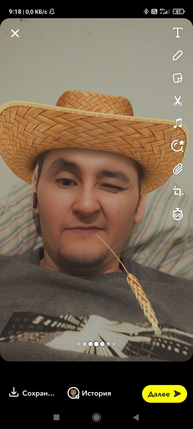  33034368  , 36 ,    