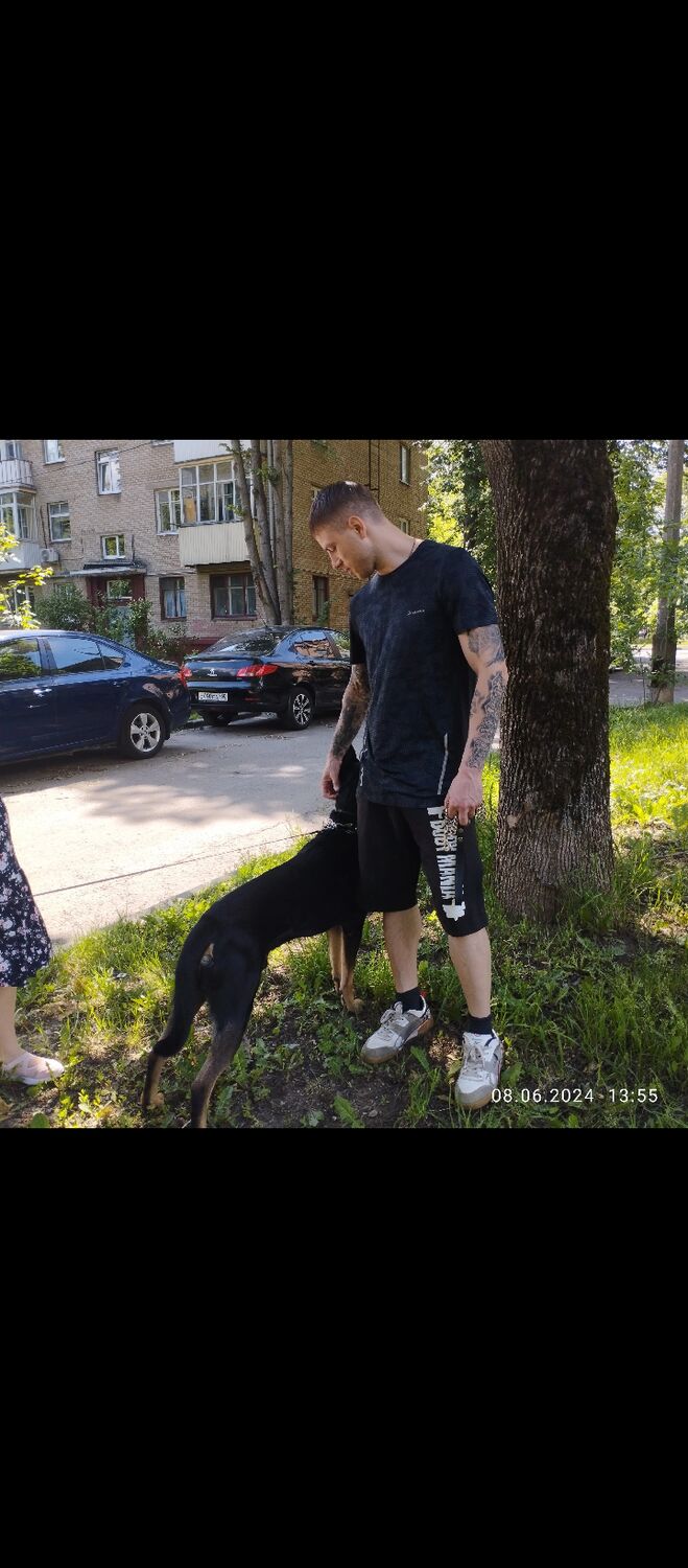 ���������� ������������, ���� ������� ������, 34 ����, ������������ ��� ����� � ���������, c�������� ���������