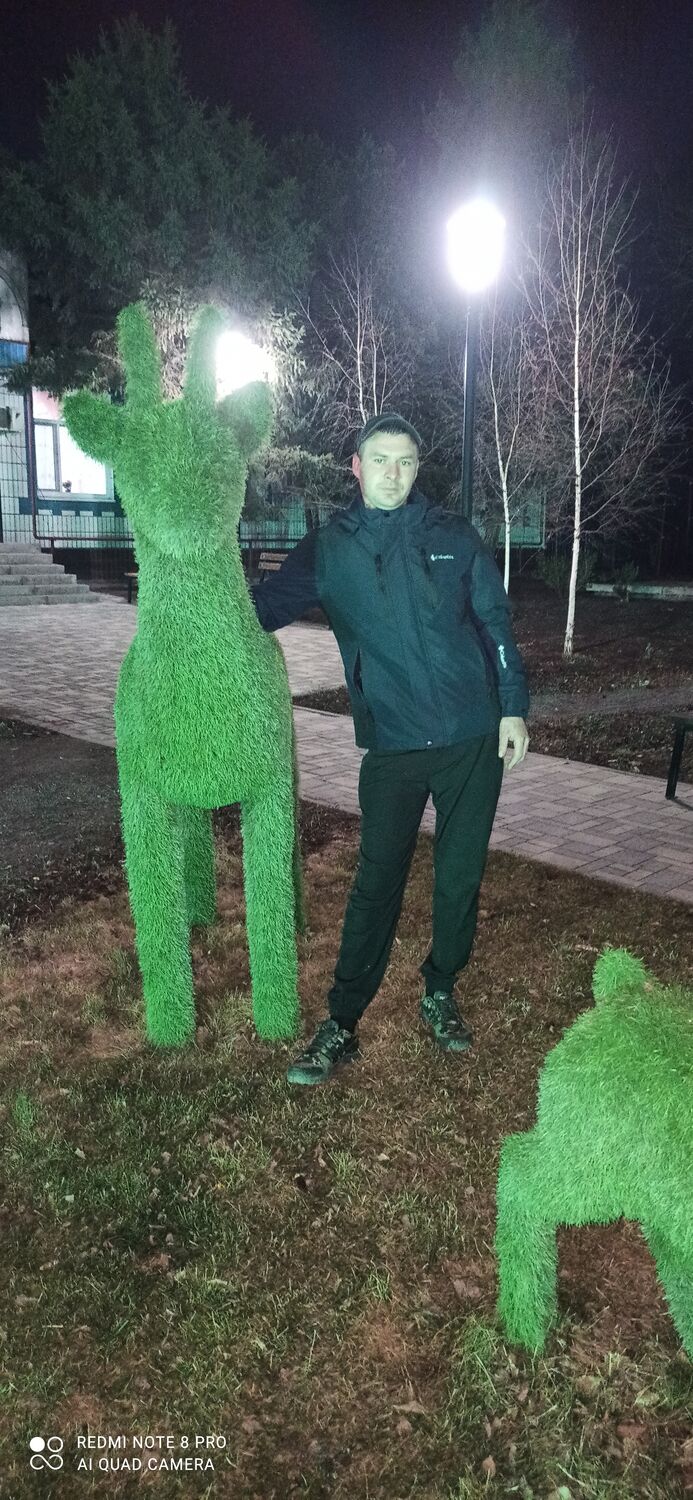 ���� 50458178 ������� �������, 31 ���, ���� ���������� � ���������