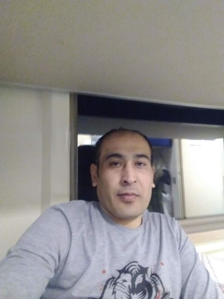  34050938  , 41 ,    