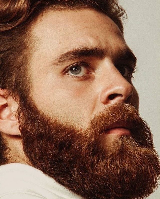 ���� 52748928 ������� ����, 39 ���, ���� ���������� � �����������