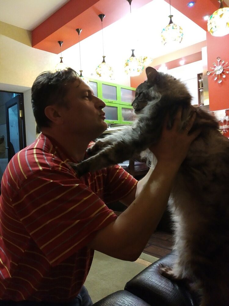  ,   , 46 ,   