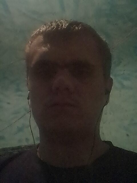  29101738  , 24 ,    