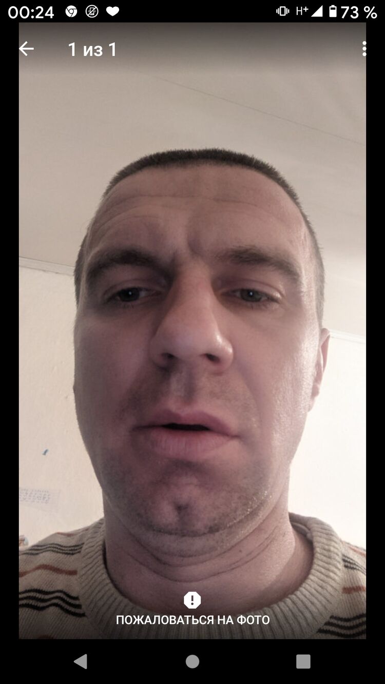  33353468  , 38 ,    