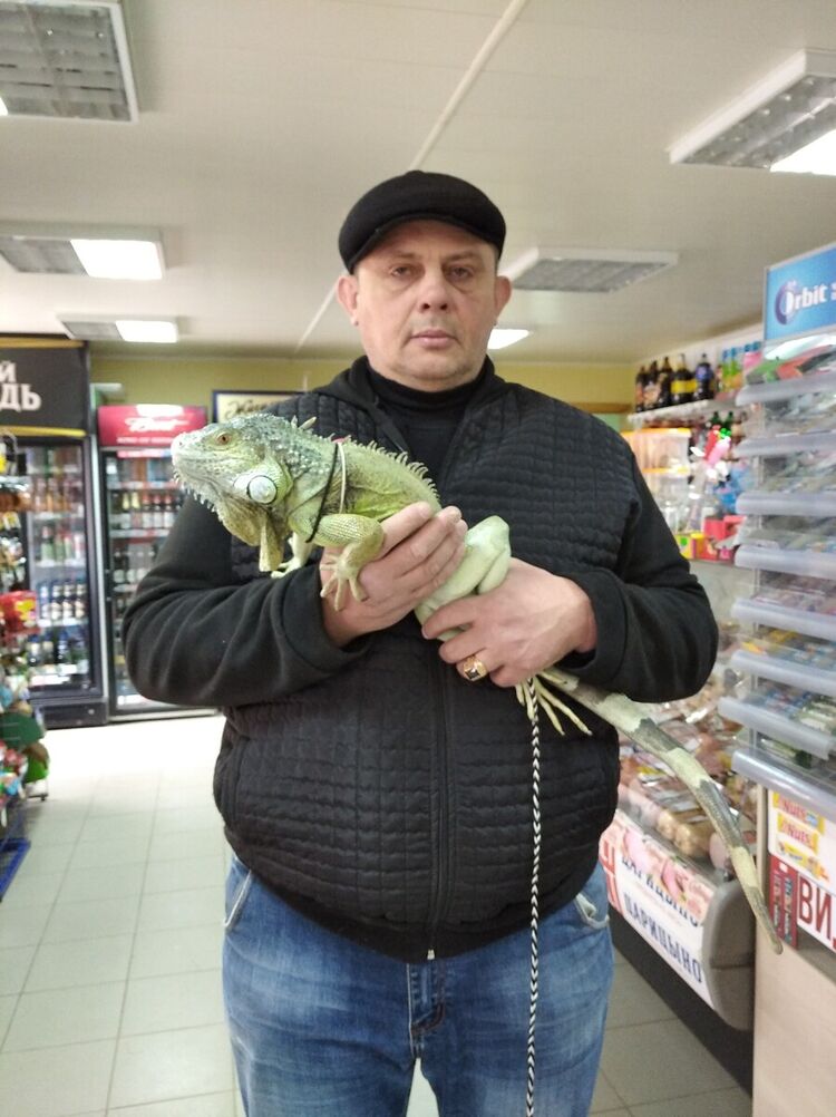 ���� 22540678 ������� ���������, 54 ����, ���� ���������� � ����