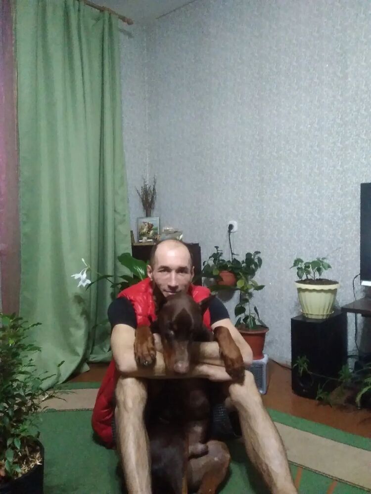  52520688  , 42 ,    -