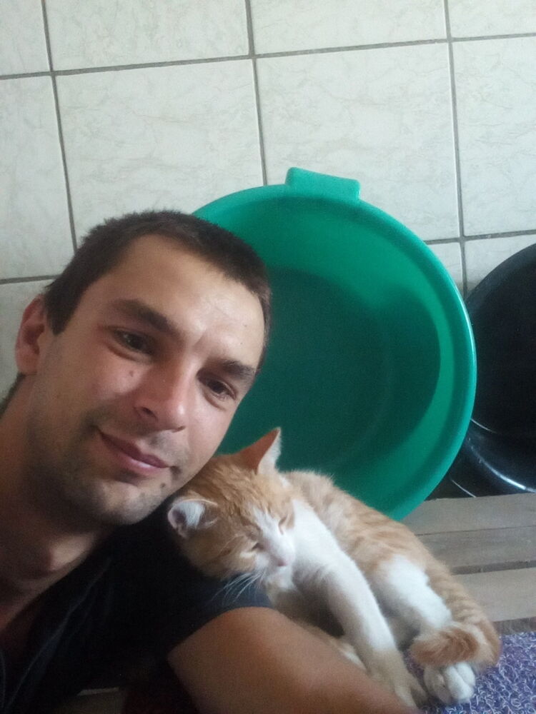  ,   , 34 ,   ,   , c 