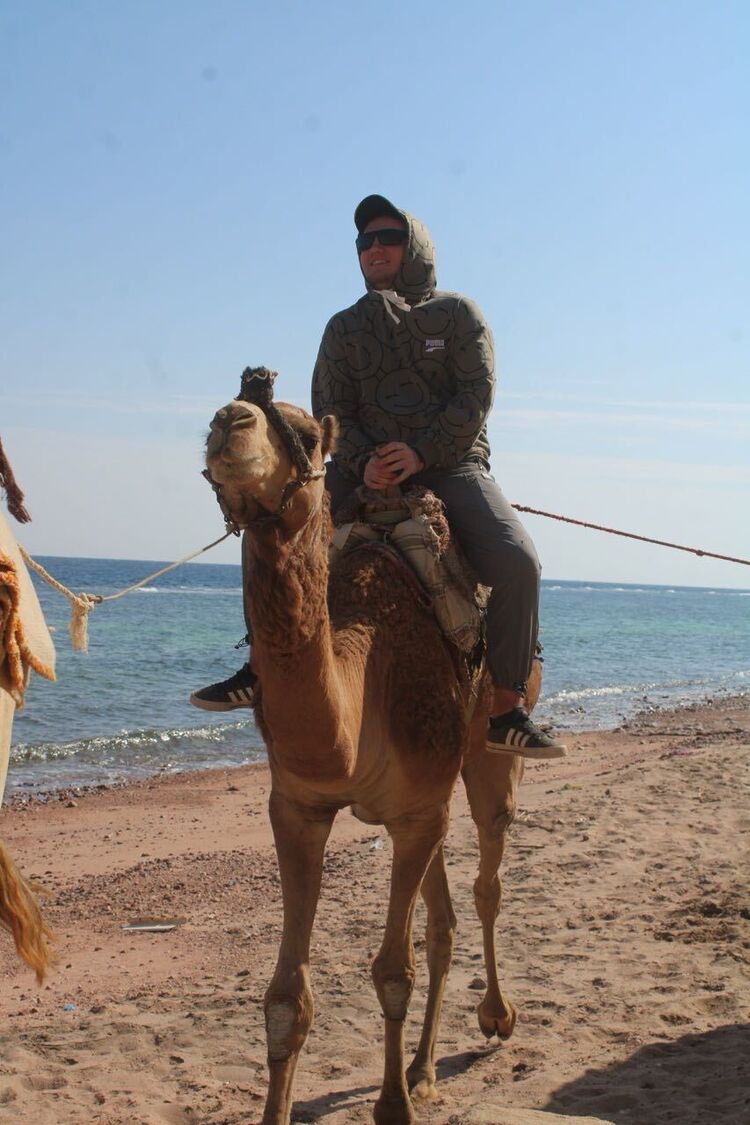 ���������� ����������, ���� ������� ����, 28 ���, ������������ ��� ������, ����� � ���������, c�������� ���������