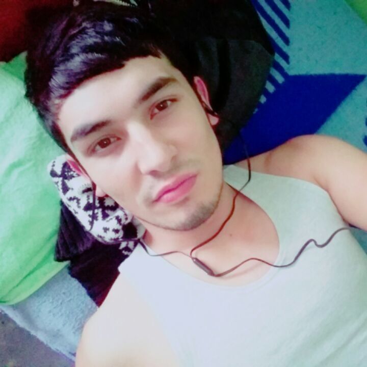 8229688  , 31 ,    