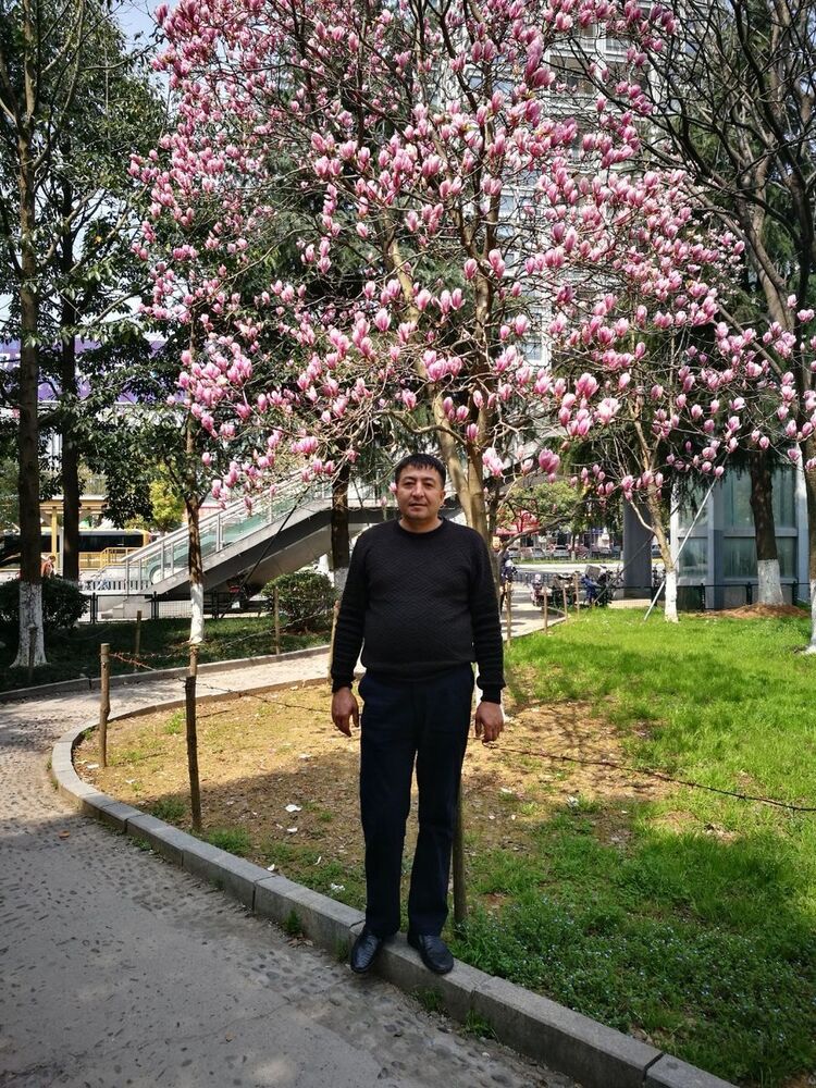  ,   , 44 ,   