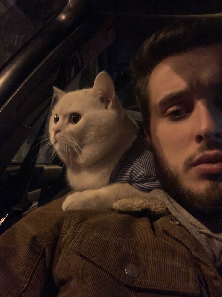 ���� 24573718 ������� ������, 26 ���, ���� ���������� � �����