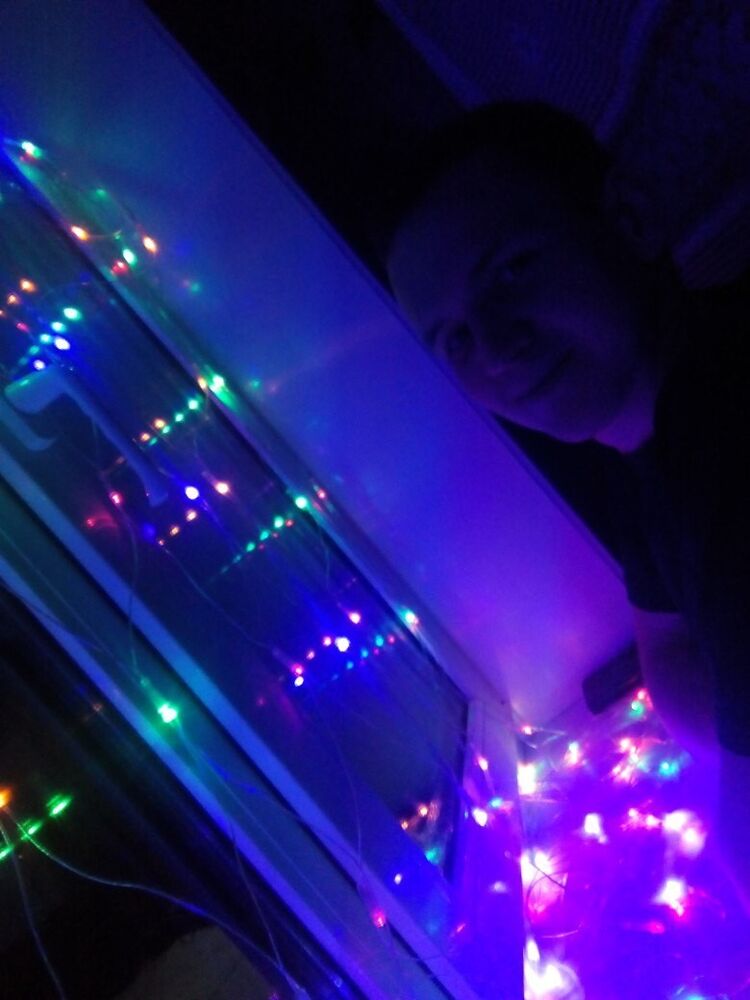 ���� 11151228 ������� ������, 28 ���, ���� ���������� � ��������