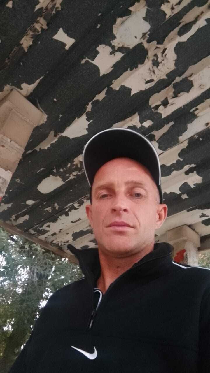  53637478  , 44 ,    