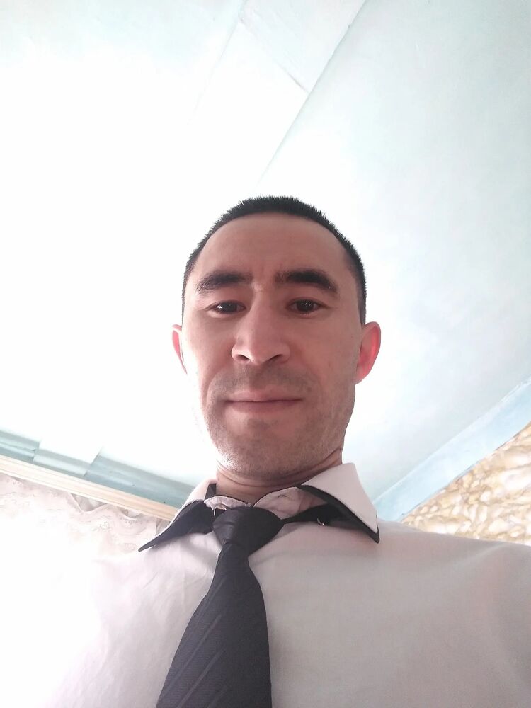 ���� 31134718 ������� �������, 34 ����, ���� ���������� � �������