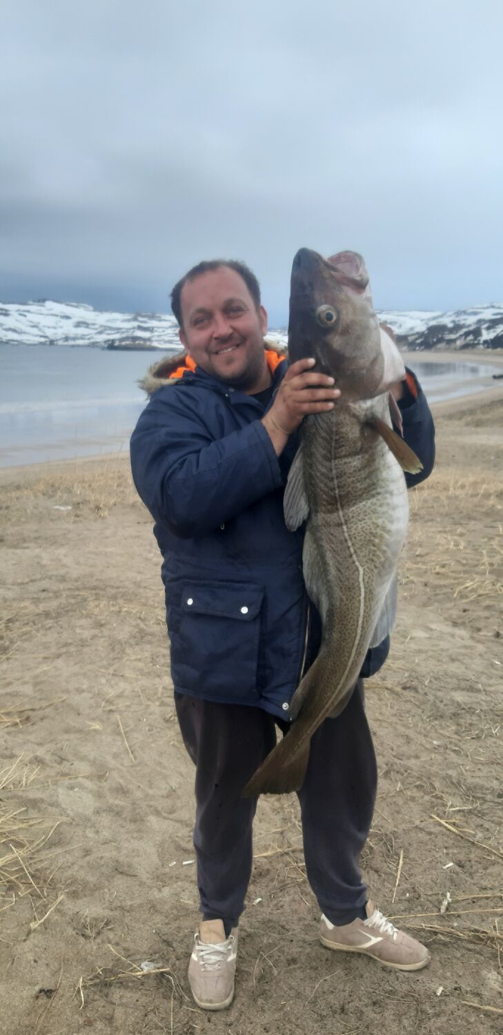 ���� 30979058 ������� ����, 38 ���, ���� ���������� � ������ ���������