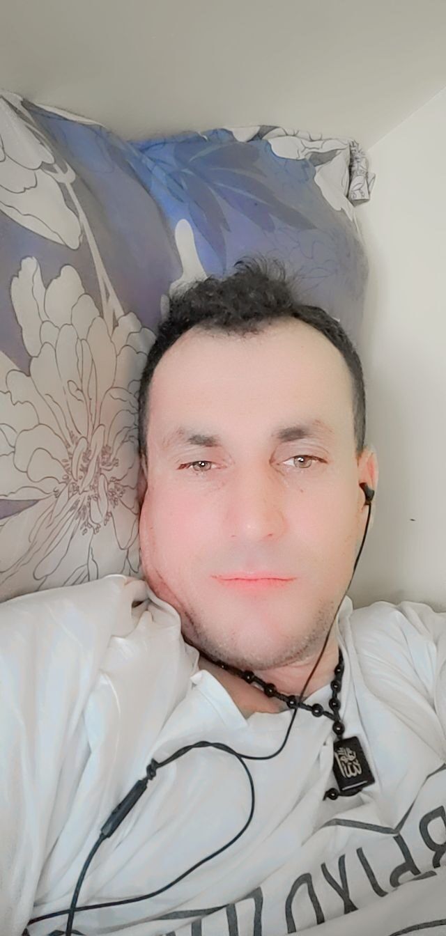 ���� 33536068 ������� �����, 44 ����, ���� ���������� � ����������