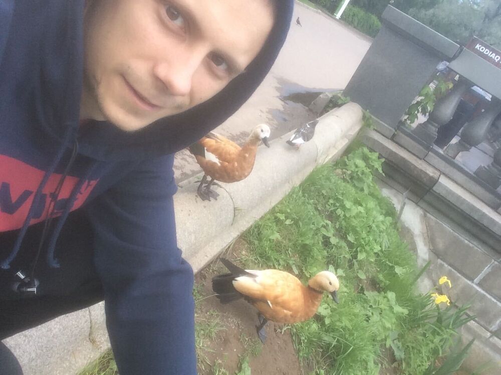 ���������� ������-��-����, ���� ������� ����, 36 ���, ������������ ��� ������