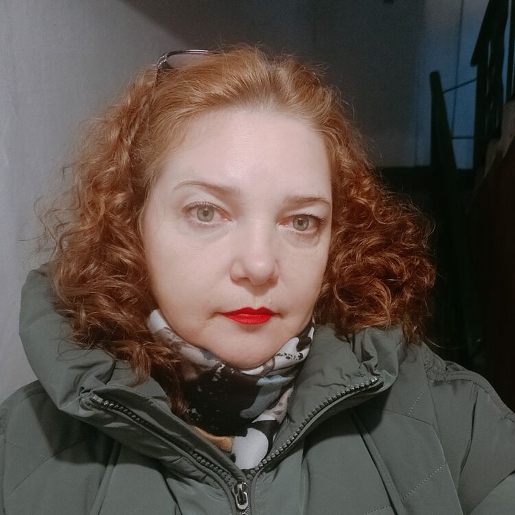 ���� 55629978 ������� ������, 50 ���, ���� ���������� � �������