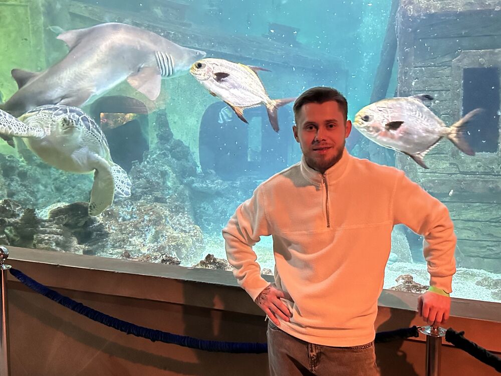 ���� 51862458 ������� �����, 30 ���, ���� ���������� � �������