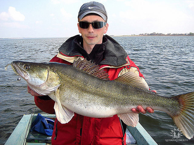 ���� 8994998 ������� ������, 46 ���, ���� ���������� � ������