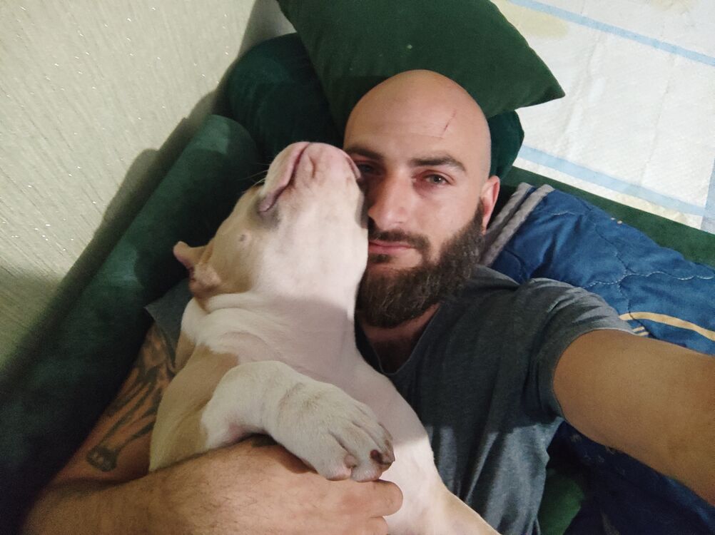 ���� 43933918 ������� APHO��D, 31 ���, ���� ���������� � ����������