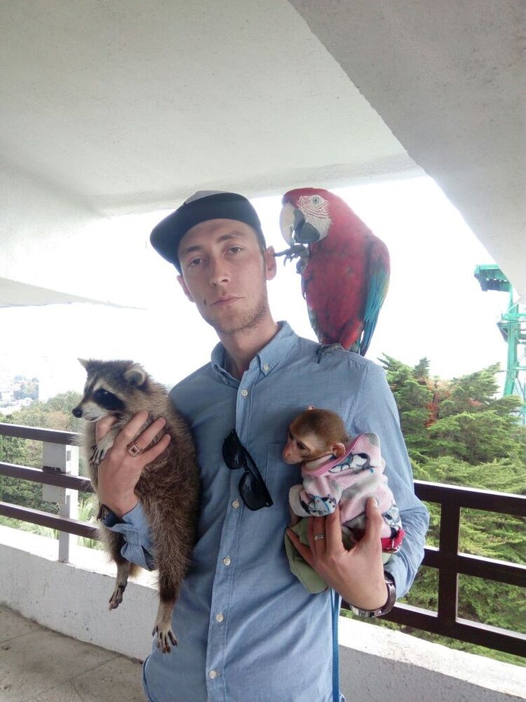 ���� 8228918 ������� �����, 44 ����, ���� ���������� � ���