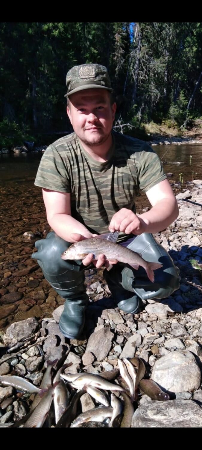 ���� 37770248 ������� �������, 32 ����, ���� ���������� � �������������