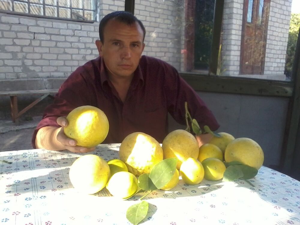  ,   , 43 ,     , c 
