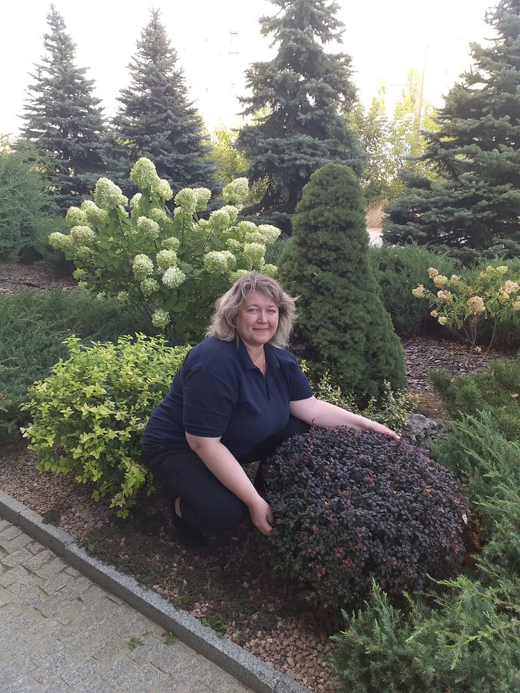  53514638  IRISKA, 53 ,    