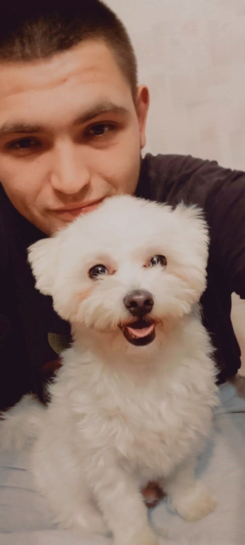 ���������� ������, ���� ����� ������, 25 ���, ������������ ��� ������, ����� � ���������, c�������� ���������, ���������