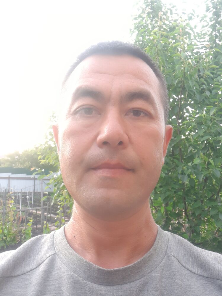  35133908  , 41 ,    