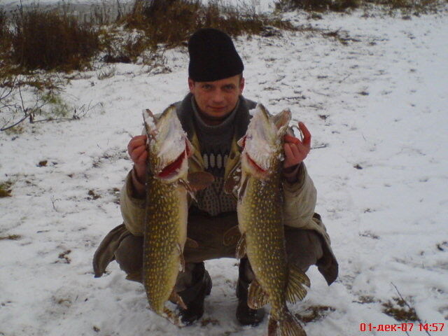 ���������� �������, ���� ������� Vitali, 47 ���, ������������ ��� ������, ����� � ���������, c�������� ���������