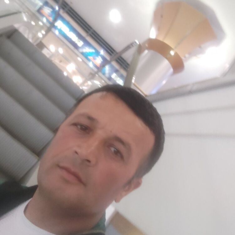  -,   , 48 ,   ,   
