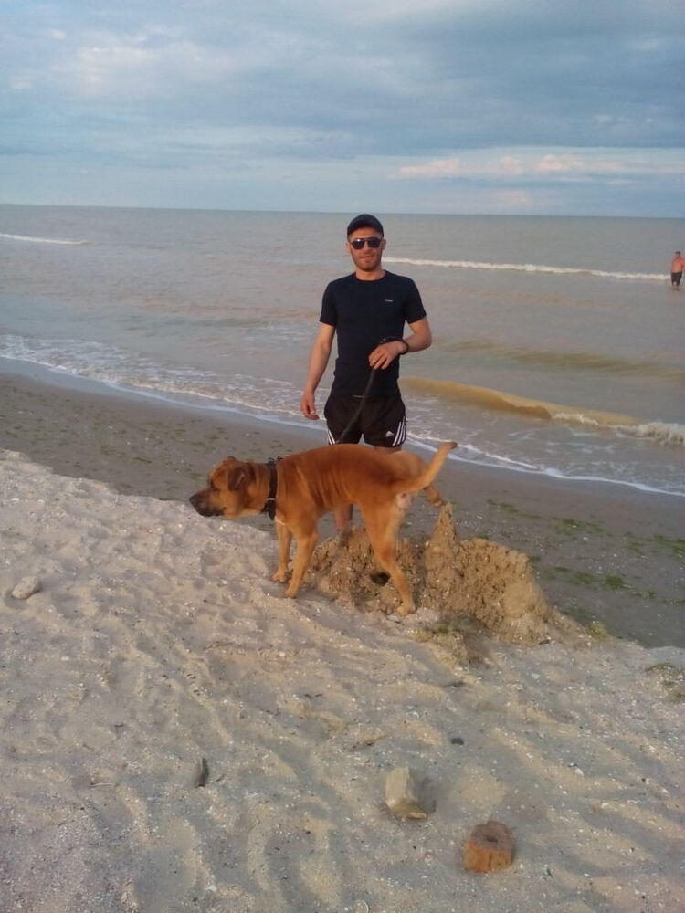 ���������� ����������, ���� ������� ����, 39 ���, ������������ ��� ������, ����� � ���������, c�������� ���������