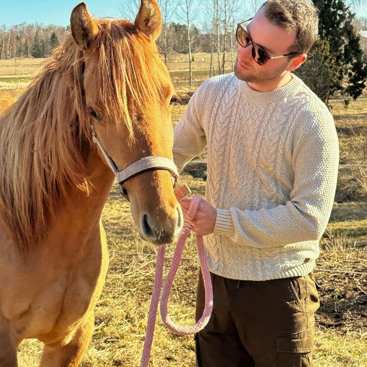 ���������� ����������, ���� ������� �����, 39 ���, ������������ ��� ������, ����� � ���������