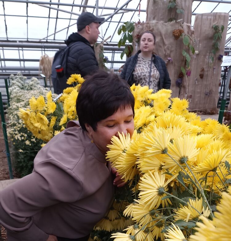 ���������� ������, ���� ������� ���������, 59 ���, ������������ ��� ����� � ���������, c�������� ���������