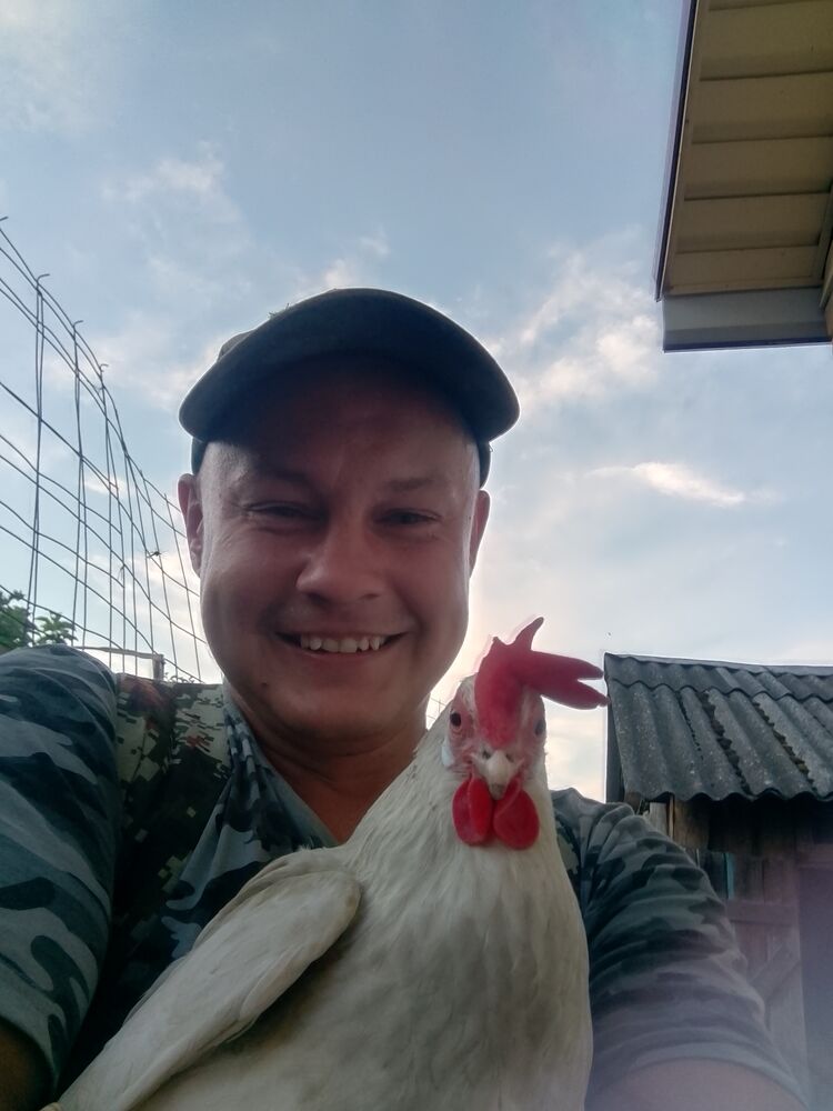 ���� 43535848 ������� �����, 33 ����, ���� ���������� � �������